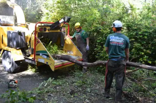 tree services Algona